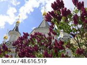 Храм Архангела Михаила при Клиниках на Девичьем поле. Стоковое фото, фотограф Александра Иванова / Фотобанк Лори