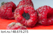 mold and fungus on raspberries close-up, berries, health hazard, expired products, detailing. Стоковое фото, фотограф Иван Грушевич / Фотобанк Лори