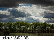 Пейзаж вдоль трассы М3. Стоковое фото, фотограф Дмитрий Неумоин / Фотобанк Лори