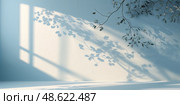 Shadows of leaves casting tranquil patterns on a light blue wall in a serene indoor setting during daylight hours. Стоковое AI-изображение, AI-художник Сергей Толмачёв / Фотобанк Лори