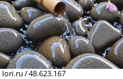 Bamboo water fountain gently showering smooth stones with rippling effects. Стоковое AI-видео, аниматор Башкирова Анна / Фотобанк Лори