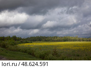 Пейзаж с полем вдоль трассы М3 весной. Редакционное фото, фотограф Дмитрий Неумоин / Фотобанк Лори