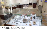 Collection of Neolithic ceramics and pottery depicting daily life and craftsmanship of ancient communities at exhibition of Regional History Museum Sofia. Редакционное видео, видеограф Яков Филимонов / Фотобанк Лори
