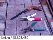 Инструменты для обрезки деревьев в саду.Tools for pruning trees in the garden. Стоковое фото, фотограф Роман Лукьянов / Фотобанк Лори