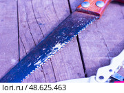 Инструменты для обрезки деревьев в саду.Tools for pruning trees in the garden. Стоковое фото, фотограф Роман Лукьянов / Фотобанк Лори