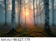 Туманный лесной пейзаж с солнечными лучами, пробивающимися сквозь деревья, и ярким зеленым мхом на земле. Стоковое AI-изображение, AI-художник Елена Болотина / Фотобанк Лори