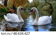 Two swans are swimming in a lake. Стоковое AI-изображение, AI-художник Ярославский Максим / Фотобанк Лори