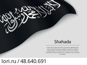Wave flag of Shahada is a religious symbol on white background. Стоковая иллюстрация, иллюстратор Максим Гребешков / Фотобанк Лори