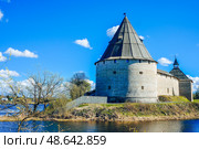 Вид через реку Ладожка на Староладожскую крепость. Редакционное фото, фотограф Людмила Карташова / Фотобанк Лори