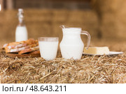 milk in a jug, slices of wheat bread and butter on hay. Стоковое фото, фотограф Татьяна Яцевич / Фотобанк Лори