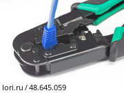 Синий LAN кабель и инструмент обжимки кабелей на белом фоне. LAN cable and cable crimping tool on white background. Стоковое фото, фотограф Татьяна Д / Фотобанк Лори