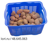 Голубой пластиковый контейнер с картошкой. Plastic box with potatoes on white background. Стоковое фото, фотограф Татьяна Д / Фотобанк Лори