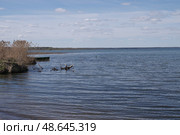 Плещеево озеро. Весна (2019 год). Стоковое фото, фотограф Илюхина Наталья / Фотобанк Лори