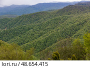 Россия. Адыгея. Вид на нагорье Лаго-Наки. Russia. Adygea. View of the Lago Naki highlands. Стоковое фото, фотограф Алексей Смышляев / Фотобанк Лори