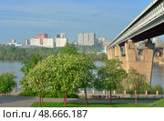 Ob embankment in the city center. Редакционное фото, фотограф ArhSib / Фотобанк Лори