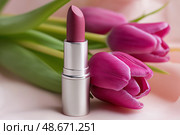 Vivid Magenta Tulip with Deep Plum Lipstick, Macro of Blooming Petals Cradling Matte Cosmetic, Velvet Textures in Soft Backlight. Яркий пурпурный тюльпан с помадой глубокого сливового оттенка, макрос цветущих лепестков с матовой косметикой, бархатные текстуры в мягком освещении. Стоковое AI-изображение, AI-художник Katsiaryna Repich / Фотобанк Лори