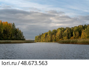 Lake Ladoga near the village Lumivaara on a sunny autumn day, Ladoga skerries, Lakhdenpokhya, Republic of Karelia, Russia. Стоковое фото, фотограф Ula Ulachka / Фотобанк Лори
