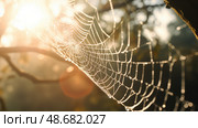 glisten light shining through ai generated. Стоковое AI-изображение, AI-художник Vectorwin / Фотобанк Лори