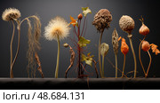 development plant growth stages ai generated. Стоковое AI-изображение, AI-художник Vectorwin / Фотобанк Лори