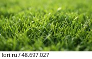 mowed lawn texture ai generated. Стоковое AI-изображение, AI-художник Vectorwin / Фотобанк Лори