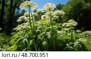 giant invasive plants ai generated. Стоковое AI-изображение, AI-художник Vectorwin / Фотобанк Лори