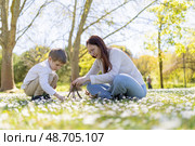 Mother and son building a small teepee with twigs in a field of daisies. Стоковое фото, фотограф Константин Шишкин / Фотобанк Лори