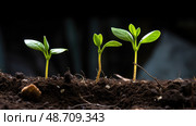 emergence plant growth stages ai generated. Стоковое AI-изображение, AI-художник Vectorwin / Фотобанк Лори