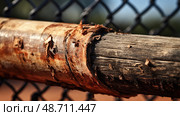 scuff wood baseball bat ai generated. Стоковое AI-изображение, AI-художник Vectorwin / Фотобанк Лори