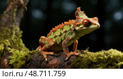 process mossy leaf tail gecko ai generated. Стоковое AI-изображение, AI-художник Vectorwin / Фотобанк Лори
