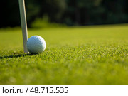 Closeup Golf ball on green grass on course. Стоковое фото, фотограф Sebastian Duda / PantherMedia / Фотобанк Лори