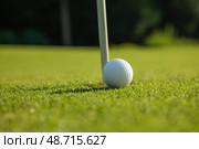 Closeup Golf ball on green grass on course. Стоковое фото, фотограф Sebastian Duda / PantherMedia / Фотобанк Лори