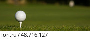 Golf ball on the golf course. Стоковое фото, фотограф Sebastian Duda / PantherMedia / Фотобанк Лори