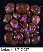 Spa stones and purple flowers, orchid. Стоковое фото, фотограф Sebastian Duda / PantherMedia / Фотобанк Лори