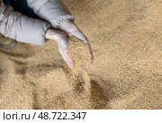 Soybean husk animal feed in farmers hands. Стоковое фото, фотограф Яков Филимонов / Фотобанк Лори