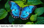 patterns did you know blue ai generated. Стоковое AI-изображение, AI-художник Vectorwin / Фотобанк Лори