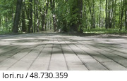 Camera movement along a cobblestone path in a green spring park. Стоковое AI-видео, аниматор Ярославский Максим / Фотобанк Лори