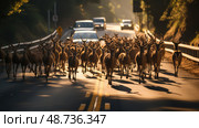 crossing road hazard ai generated. Стоковое AI-изображение, AI-художник Vectorwin / Фотобанк Лори