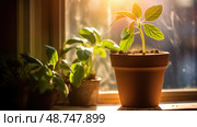 sunlight budding plant ai generated. Стоковое AI-изображение, AI-художник Vectorwin / Фотобанк Лори