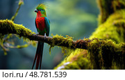 resplendent cloud forest ai generated. Стоковое AI-изображение, AI-художник Vectorwin / Фотобанк Лори