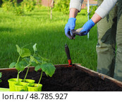 Fertilizer soil cucumber with fingers heart shape. Стоковое фото, фотограф Елизавета Малкова / Фотобанк Лори