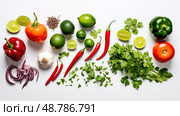 cilantro salsa on white ai generated. Стоковое AI-изображение, AI-художник Vectorwin / Фотобанк Лори