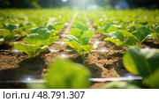 moisture leaf technology ai generated. Стоковое AI-изображение, AI-художник Vectorwin / Фотобанк Лори