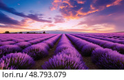 field lower third purple ai generated. Стоковое AI-изображение, AI-художник Vectorwin / Фотобанк Лори