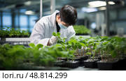 growth nitrogen plants ai generated. Стоковое AI-изображение, AI-художник Vectorwin / Фотобанк Лори