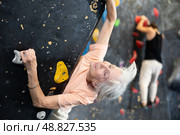 elderly active female pensioner reached top of bouldering wall. Стоковое фото, фотограф Яков Филимонов / Фотобанк Лори