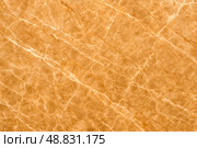 Warm golden marble surface showcasing intricate veining patterns with soft sheen ideal for luxury interior design tile materials backdrop visuals. Стоковое фото, фотограф Павел Муравьев / Фотобанк Лори