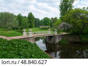 View of the Slavyanka River Valley and the Cast-iron Bridge in the Pavlovsky Palace and Park Complex on a sunny summer day, Pavlovsk, St. Petersburg, Russia. Редакционное фото, фотограф Ula Ulachka / Фотобанк Лори
