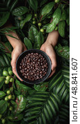Freshly Roasted Coffee Beans Held Amidst Vibrant Green Foliage in a Natural Setting. Стоковое AI-изображение, AI-художник Юлия Гапеенко / Фотобанк Лори