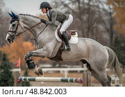 A woman is riding a grey horse and jumping over a hurdle. Стоковое AI-изображение, AI-художник Ярославский Максим / Фотобанк Лори