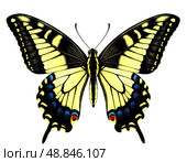Swallowtail butterfly. Watercolor illustration on white background. Стоковое AI-изображение, AI-художник Ирина Самойлова / Фотобанк Лори